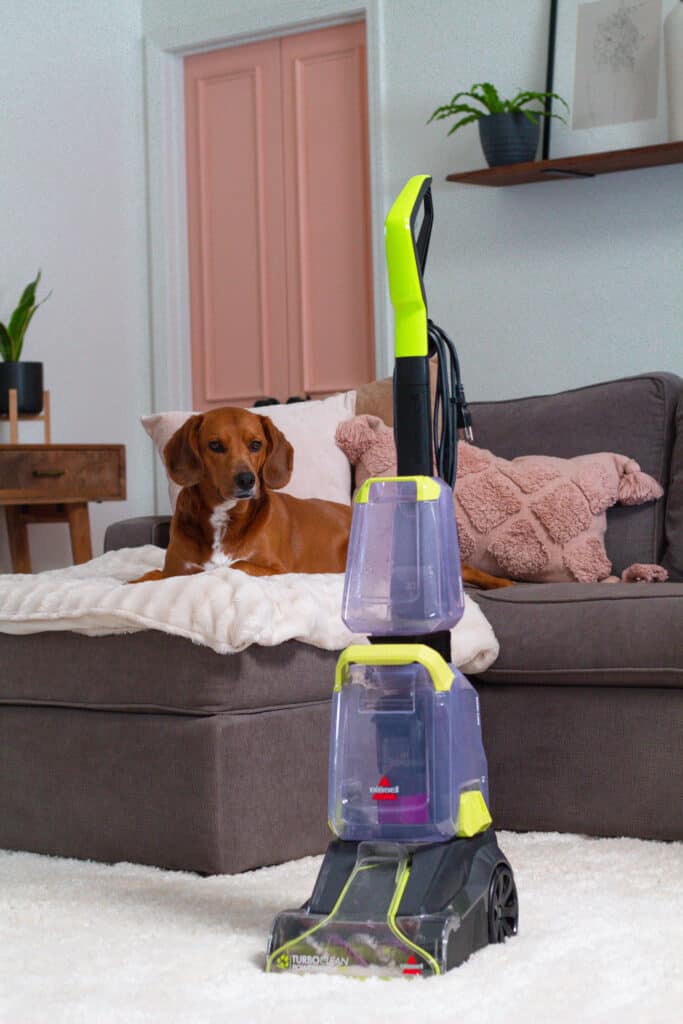 BISSELL TurboClean PowerBrush Pet Review - The Homeblondy