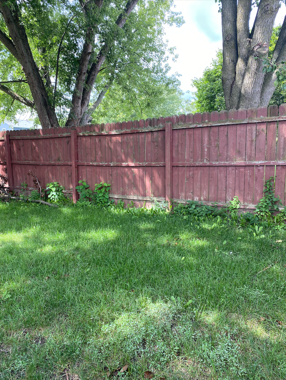 before and after black wood fence stain