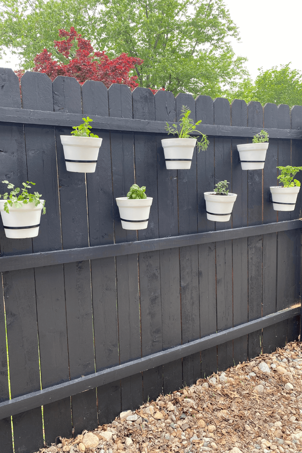 fence herb garden ideas